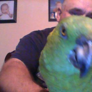 Meet your Posher, James